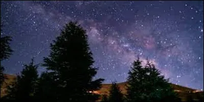 Quel est ton moment de la journée préféré ?