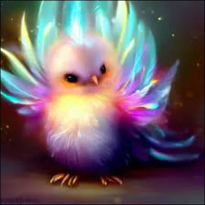 Quelles couleurs préfères-tu ?