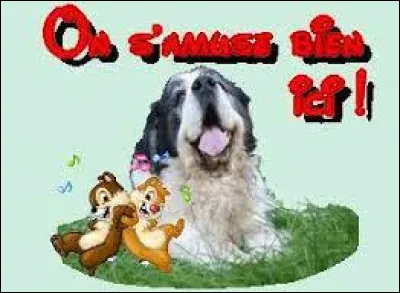 Comment t'amuses-tu ?