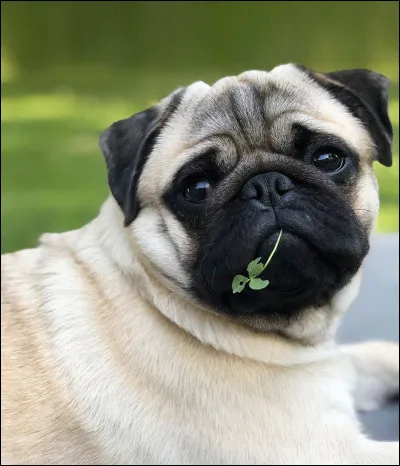 Quelle est celle-ci ?