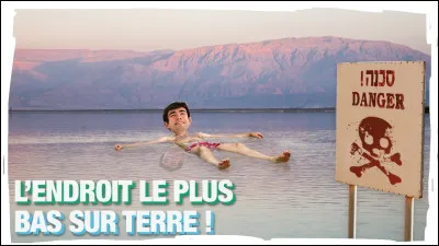 Tu préfères être...