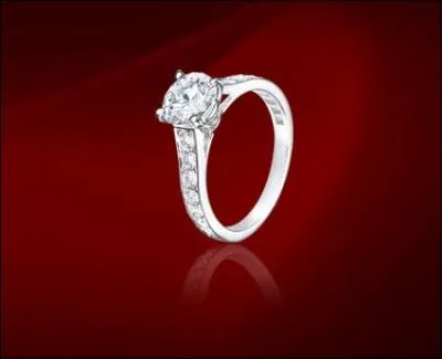 Que signifie le mot 'crin' ?