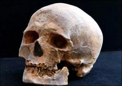 L'homme de Cro-Magnon fut dcouvert en 1868 :