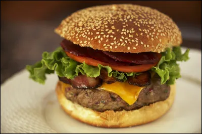 Quel est le pays d'origine du hamburger, 2 pains ronds garnis de steak haché, de crudités, d'épices et de sauce ?