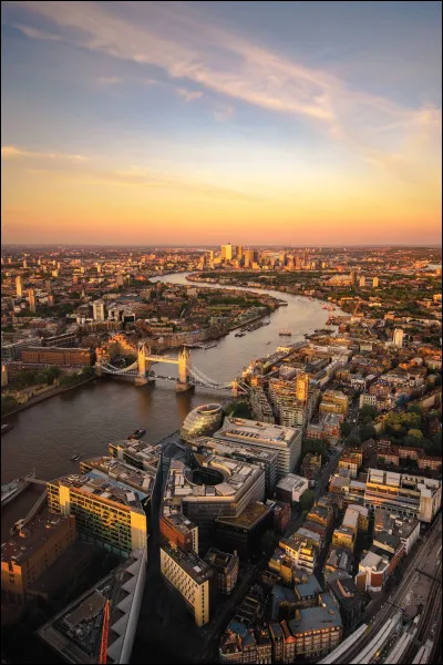 Quel groupe interprète la chanson "Last train to London" ?