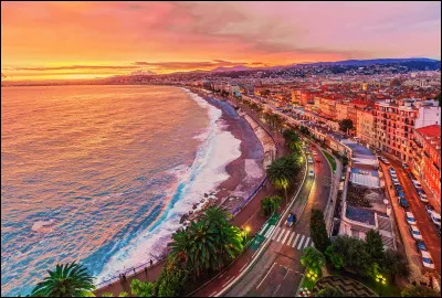 Quel acteur est à l'affiche du film "Brice de Nice" ?