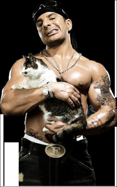 Qui est ce chanteur ?