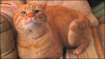 Comment s'appelle ce personnage ?