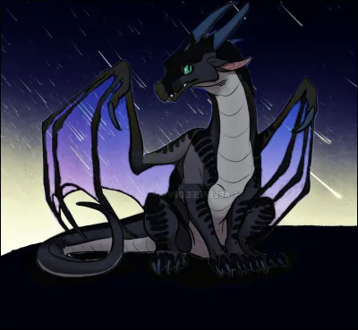 Quel est le protagoniste du tome 4 ?