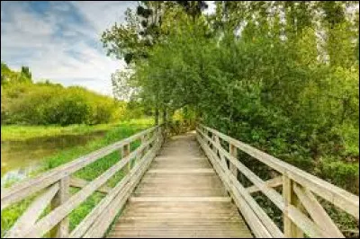 Que faut-il ajouter à "pro" pour obtenir le synonyme du mot "balade" ?