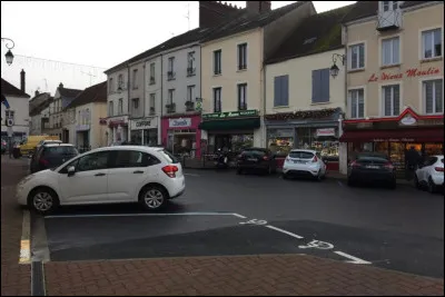 Cette petite ville de Seine-et-Marne, peupl&eacute;e de 4900 habitants, situ&eacute;e dans la Brie dans la vall&eacute;e du Grand Morin, c'est ...