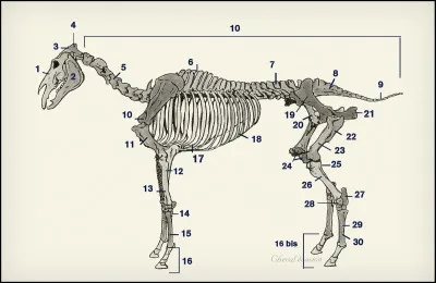 À quoi correspond le numéro 5 ?