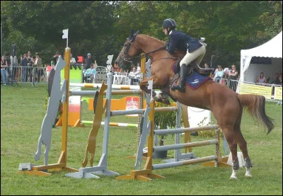 Quel est cet obstacle ?