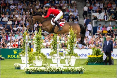 Quel est cet obstacle ?