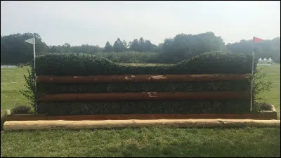 Quel est cet obstacle ?