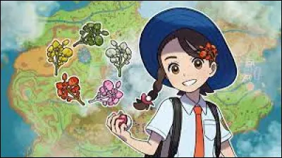 Quelle épice vous rapportera-t-il ?