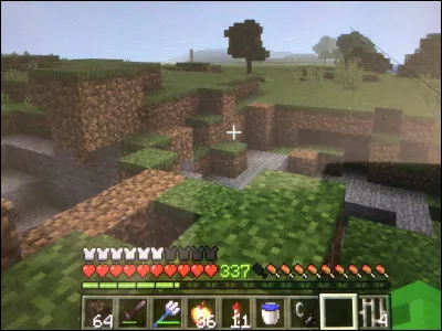 Cette image est une version :