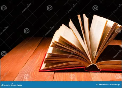 Tu préfères les histoires avec...