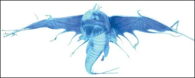 Quel est ce dragon ?