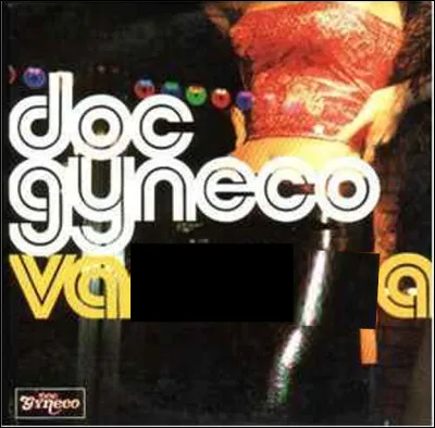 Quel est le titre de cette chanson de 1996 de Doc Gynéco aux paroles sulfureuses d'obsédé sexuel qui a fait une fixation sur Vanessa Paradis ?