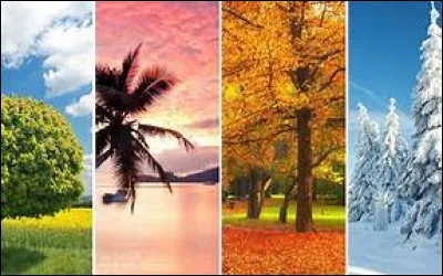 Quelle est ta saison préférée ?