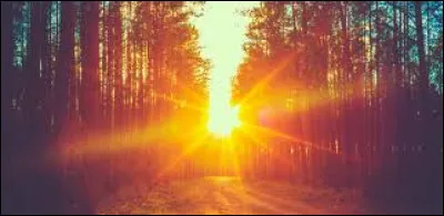 Quelle heure est-il à Tokyo quand il est 8h du matin à Paris ?