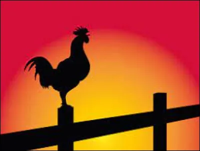 Qui a réalisé le film "De bon matin" sorti en 2011 ?