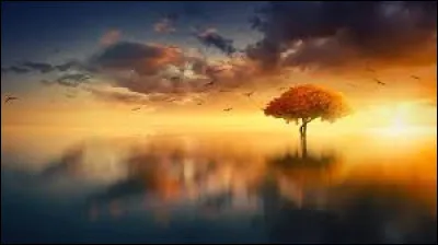 À partir de quelle heure débute l'émission "Télématin" sur France 2 ?