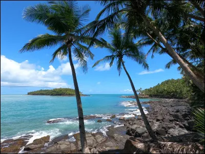 Hors sujet : est-tu pollueur ? (C'est le thème des images.)