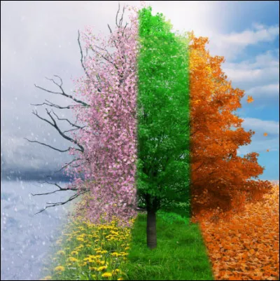 Quelle est ta saison préférée ?