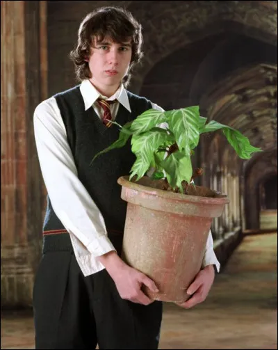 Vers la fin de la saga, Neville dit vouloir avouer ses sentiments à une fille, qui est-elle ?