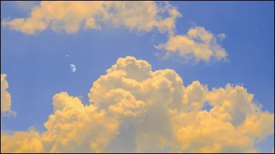 Quelle est ta couleur préférée (suite) ?