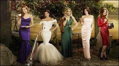 Lors de la manifestation dans Wisteria Lane, qui tire un coup de feu en l'air ?