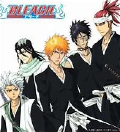 A qui appartient le Bankai "Tensa Zangetsu" ?