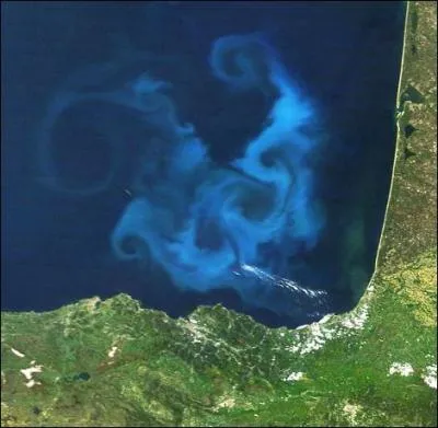 Qu'est-ce qui menace le phytoplancton, essentiel aux ocans ?