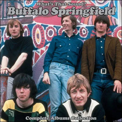 Buffalo Springfield est un groupe de rock américain ; si l'on trouve une ville du nom de Springfield à la fois dans les États de l'Orégon et de l'Illinois, dans quel État la ville de Buffalo est-elle située ?