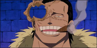 Qui est le méchant dans "One Piece" ?