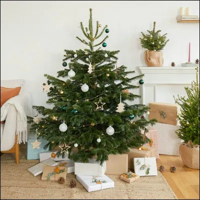 Sur la photo, s'agit-il un sapin naturel ou artificiel ?