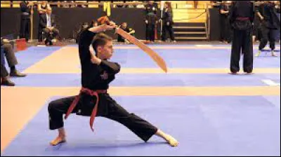 Pratiques-tu les arts martiaux ?