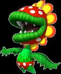 Quel est le nom de cette fleur gante ?