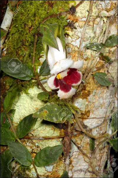 Qu'espères-tu avoir comme résultat ?