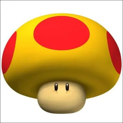 À quoi sert ce champignon ?