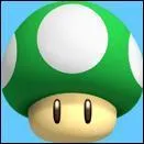 À quoi sert ce champignon vert ?