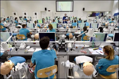 Dans le film "Première Année", quel est le comédien jouant le rôle d'Antoine qui entame pour la troisième fois sa première année de médecine ?
