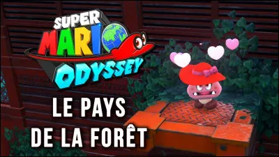 La couleur des lunes du pays de la Forêt est :