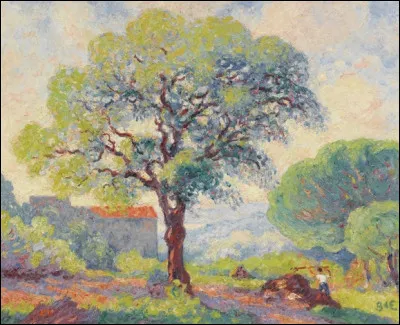 Qui a peint "Chêne liège à St Clair" ?