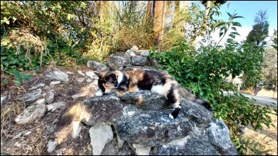 Quel est ton grade ?