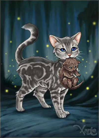 Quel est ton pelage ? (2)