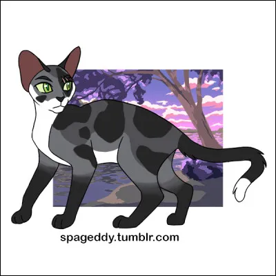 Comment t'appelles-tu ?