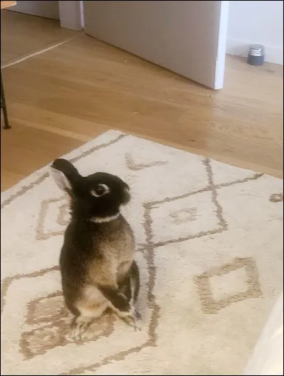 Que penses-tu de cette image ?